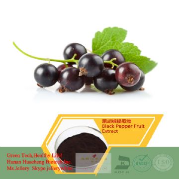 Blackcurrant Extract 